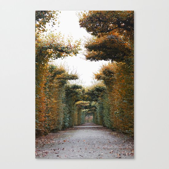 Autumn in park Canvas Print
