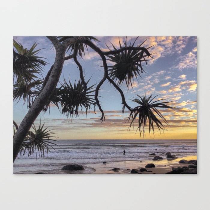 pandanus | gold coast, australia  Canvas Print