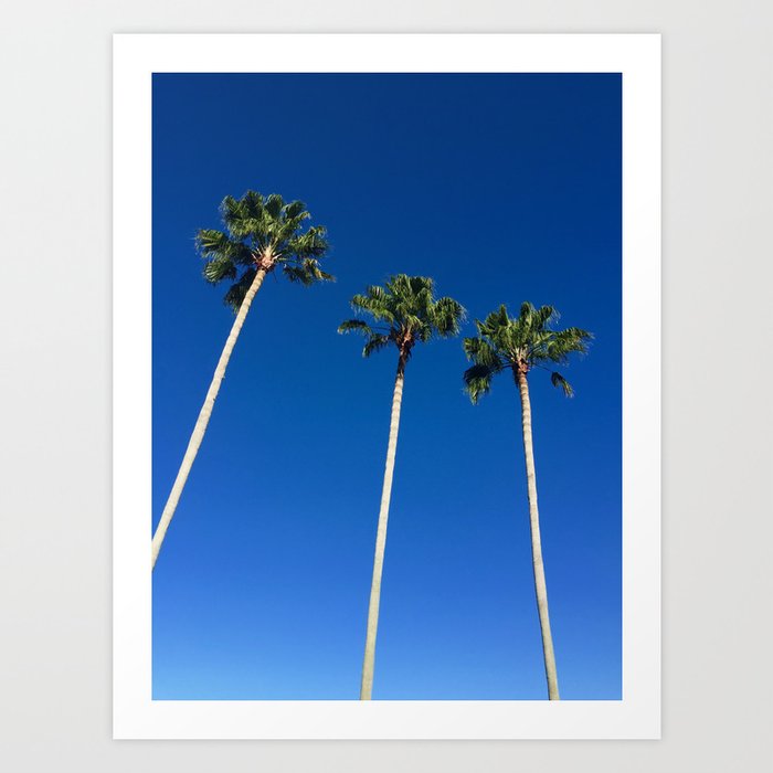miami beach palm trees and blue sky Art Print
