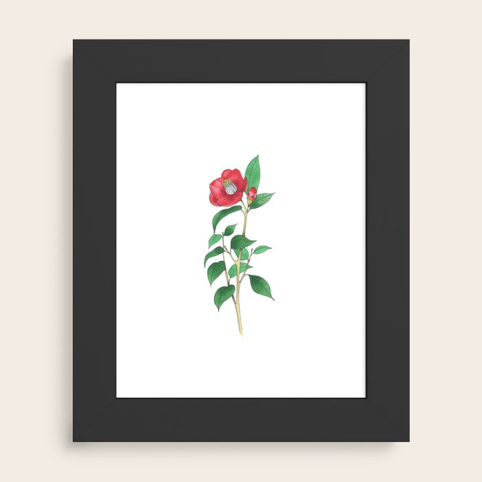 Framed Art Print