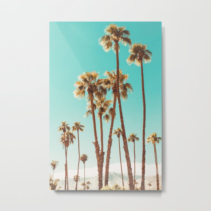Palm Trees and Mountains Palm Springs Photography Print Metal Print