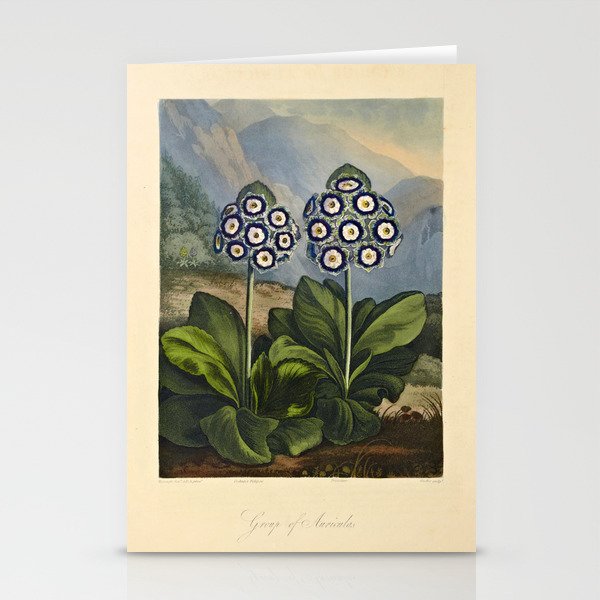 Auriculas from "The Temple of Flora," 1812 (benefitting The Nature Conservancy) Stationery Cards