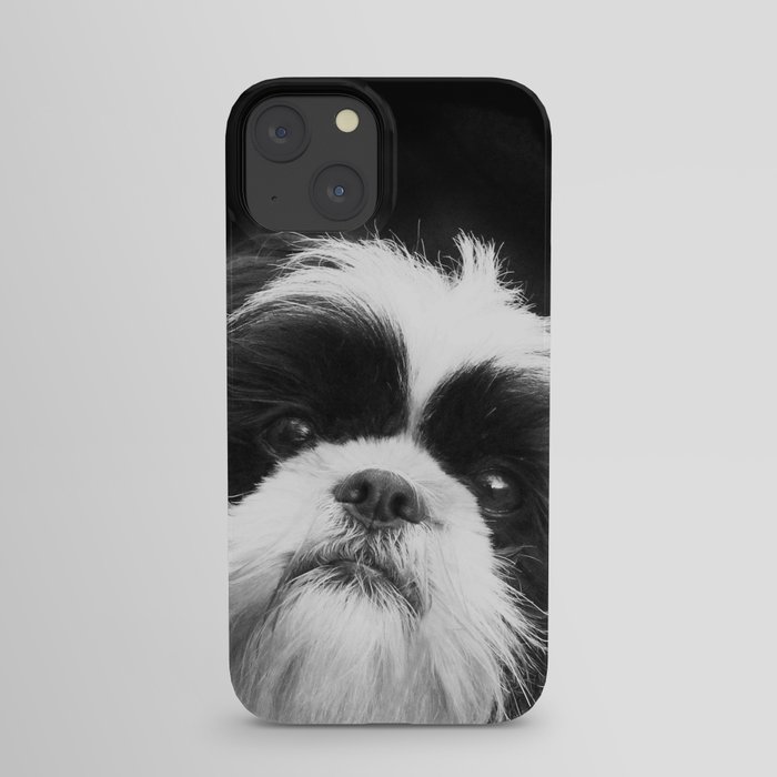 Shih Tzu Dog iPhone Case