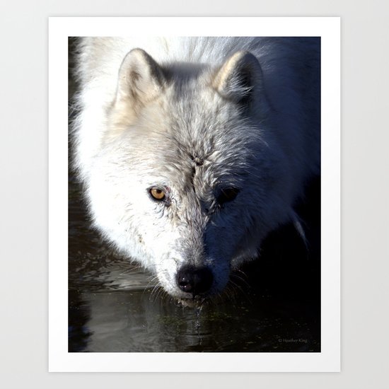 Quenched Art Print
