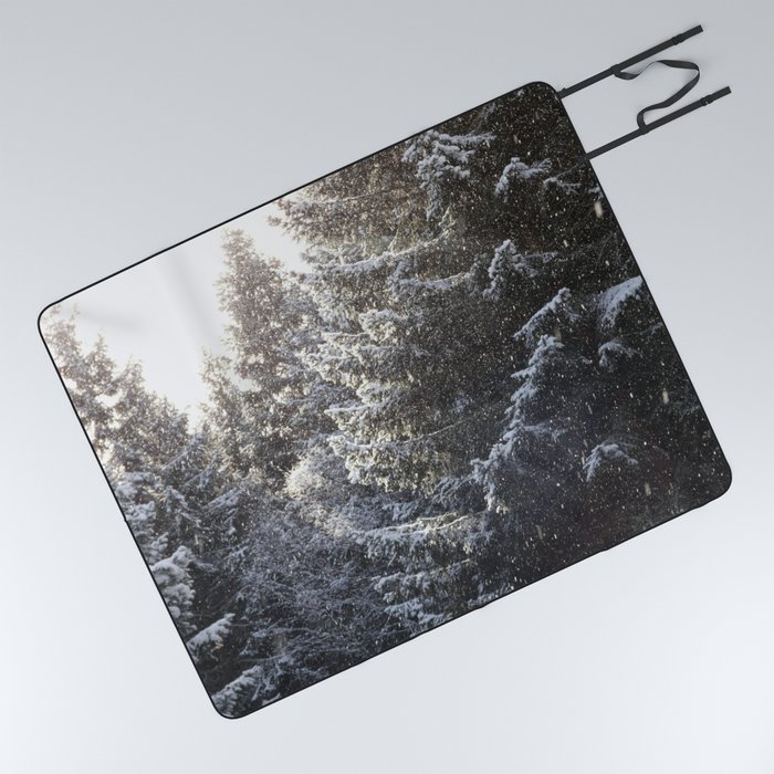 Falling Snow in a Scottish Highlands Pine Forest Picnic Blanket