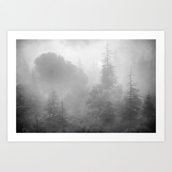 The misty forest.... Art Print