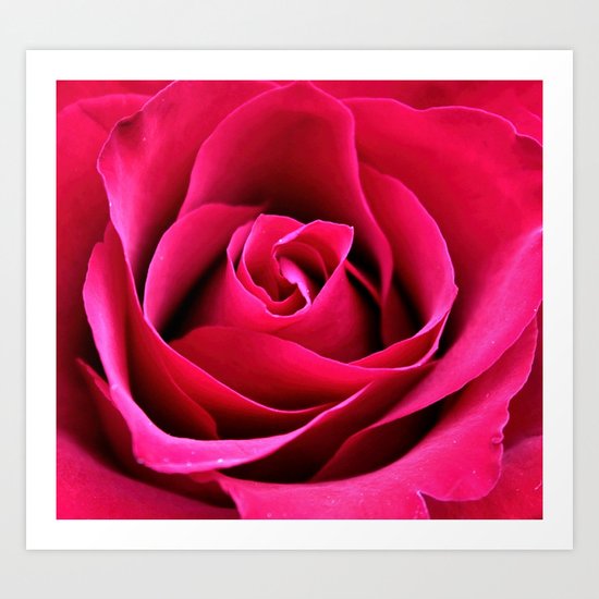 Red Rose Love Art Print