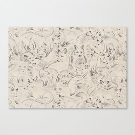 Resting foxes Canvas Print