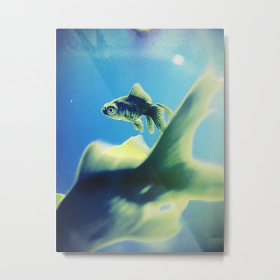 One Fish Two Fish Metal Print
