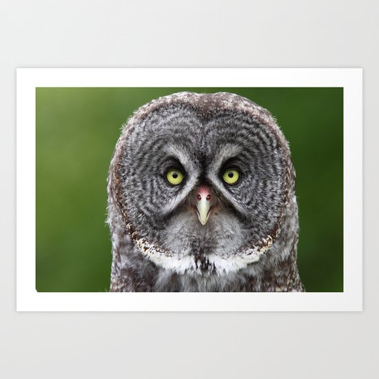 Give a Hoot Art Print