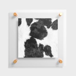 Decorative Black and White Cowhide Floating Acrylic Print