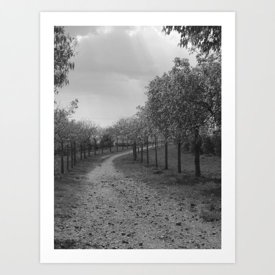 olives Art Print
