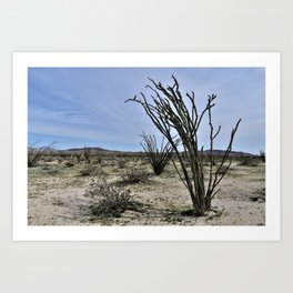 California Desert Art Print