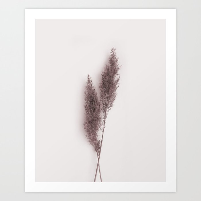 Discover the motif DRIED PAMPAS GRASS by Art by ASolo as a print at TOPPOSTER
