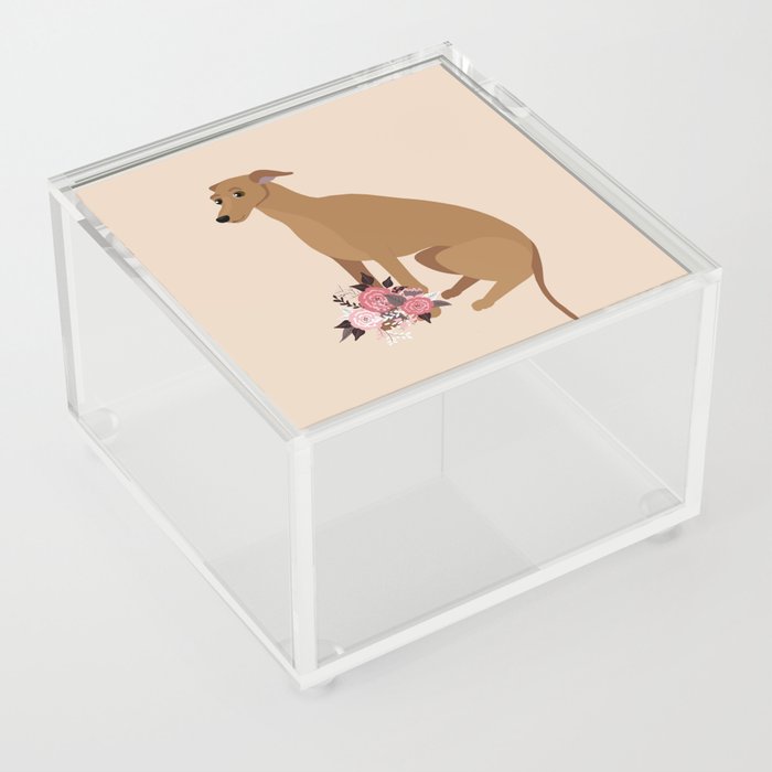 Italian Greyhound and Flowers Red Dog Beige Acrylic Box