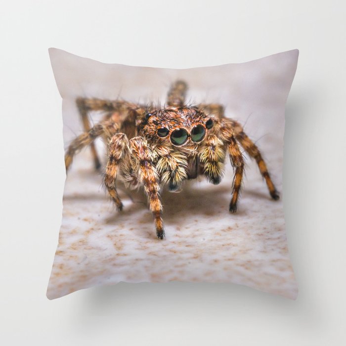 Orange-Brown Jumping Spider, On A Kitchen Tile. Macro Photograph Throw Pillow