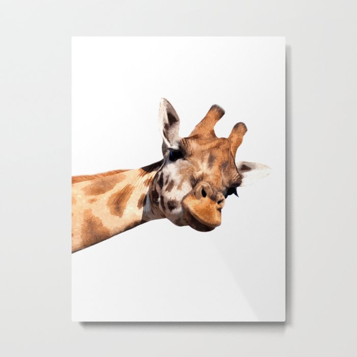 Giraffe portrait Metal Print