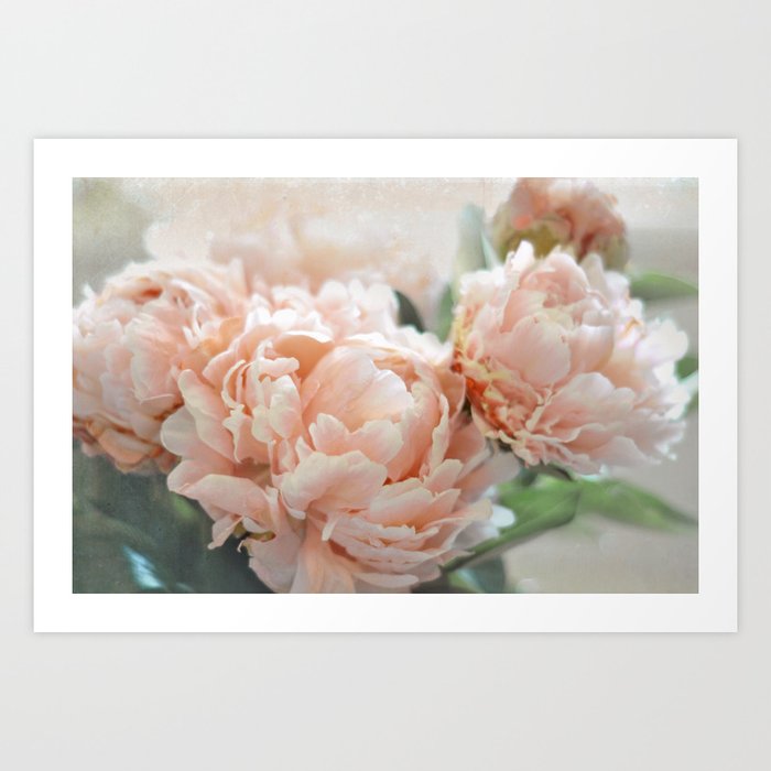 Peach Peonies Art Print