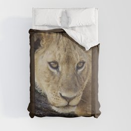 Lion_BrownBoarder Comforter