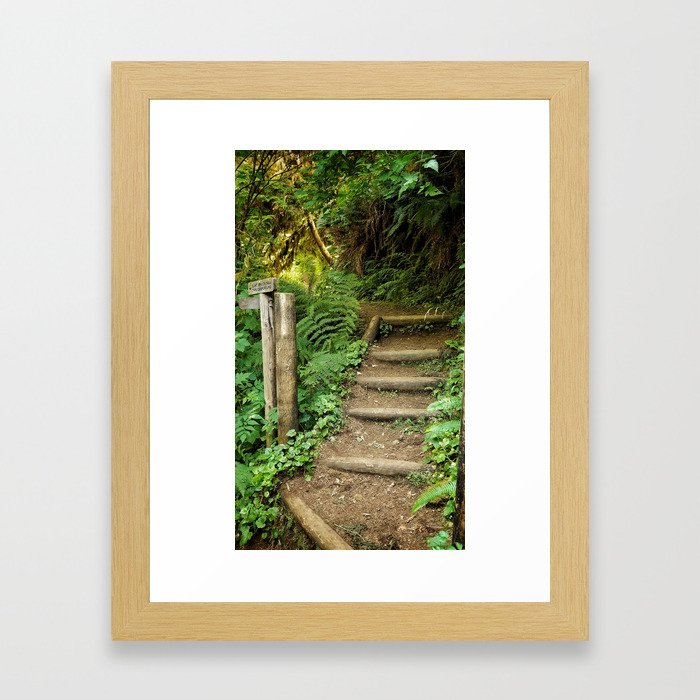 Staircase into the Jungle Framed Art Print