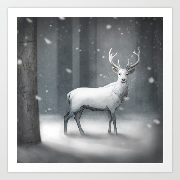 white stag slacks