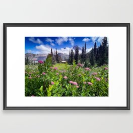 Wildflower Mountain Meadow Framed Art Print