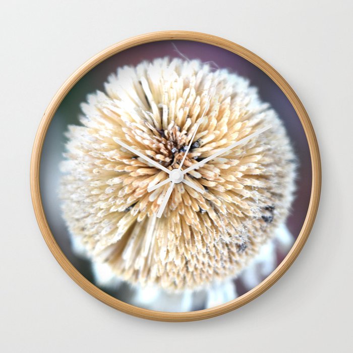 Seed Pod Sphere | Nadia Bonello Wall Clock