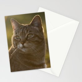Tabby kitty Stationery Card