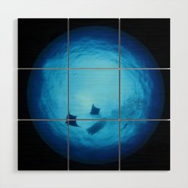 Ocean Dome - looking up (Snell's window) Wood Wall Art