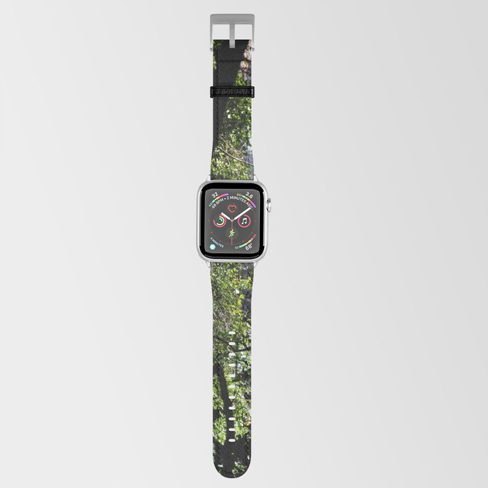 waterfall Apple Watch Band