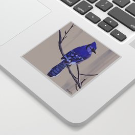 Blue Jay Bird Sticker