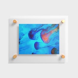 Watch the Flow of the Jelly Glow  Floating Acrylic Print
