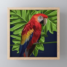 Parrot  Framed Mini Art Print