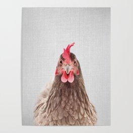 Chicken - Colorful Poster