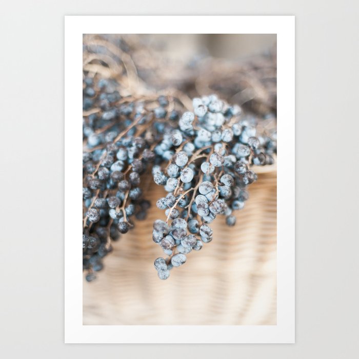 Dreamy blue grapes in a basket in Italy | Food travel print | wall art for the kitchen Art Print