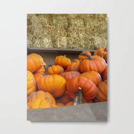 Hampton's Harvest #7 Metal Print | Newyork, Photo, Fall, Gourds, Autumn, Shopping, Color, Food, Market, Farmersmarket 