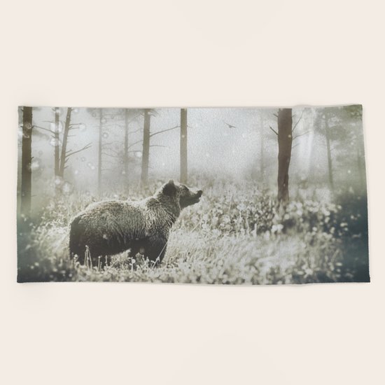 Encounter Beach Towel
