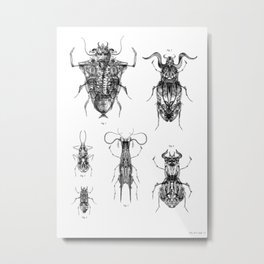 Entomologic Bones Metal Print