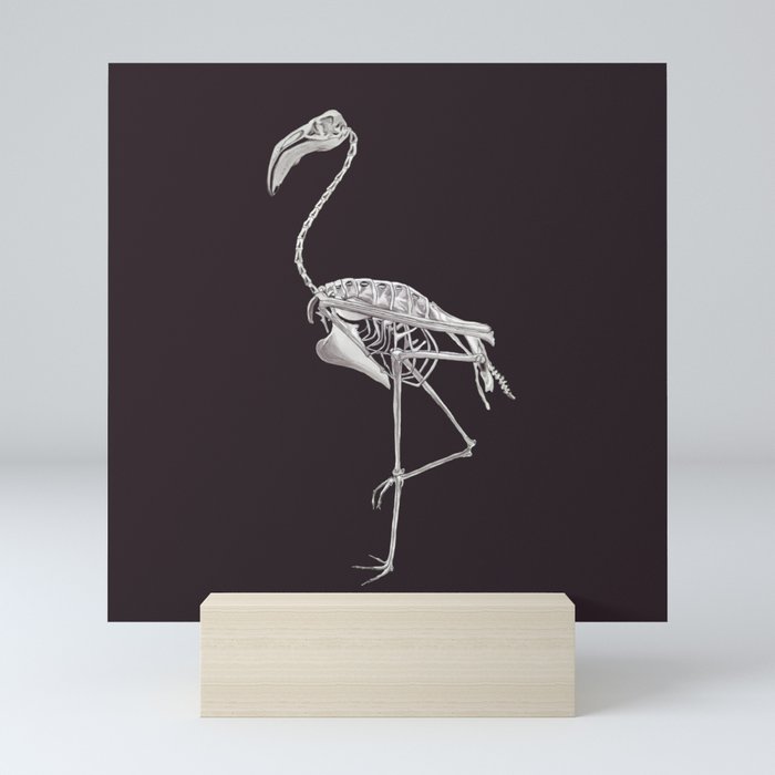 Flamingo Skeleton: Bird Halloween Animal Anatomy Mini Art Print