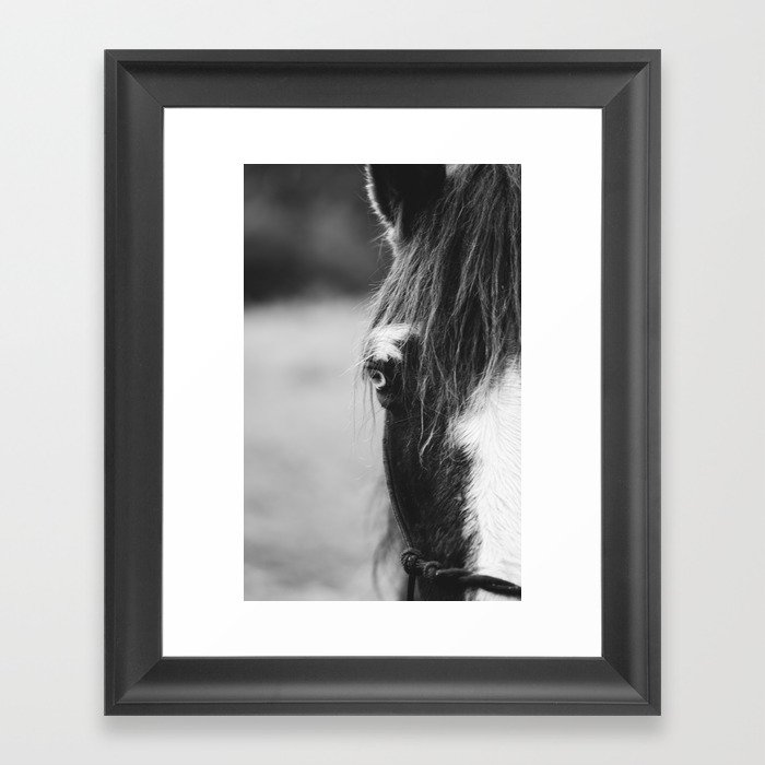 Blue Eye - horse photography Framed Art Print