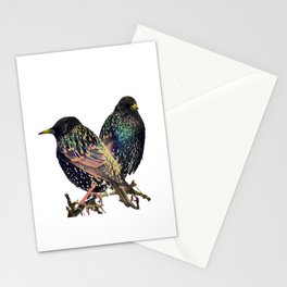 Two Winter Starlings Perching on a Branch in I Art Stationery Card