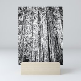 Euphoric Forest in Black & White Mini Art Print