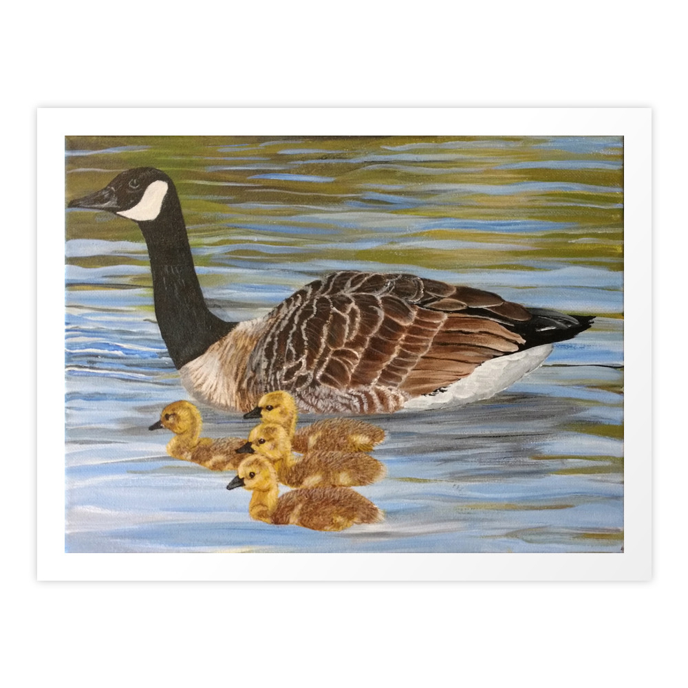 Canadian Goose and Goslings Poster by jawilking
