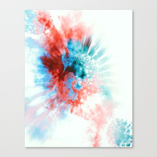 reryef Canvas Print