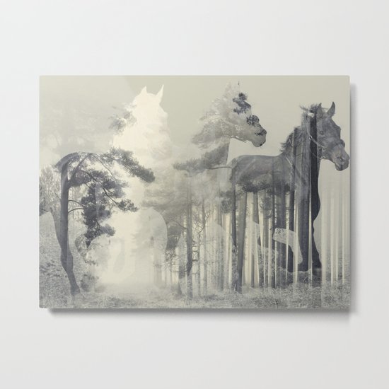 Like a Horse in the woods Metal Print