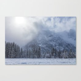 Snowing at the Meadow Canvas Print