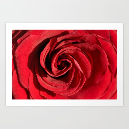 Red rose in LOVE- Roses Flowers Floral Art Print