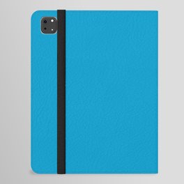 Blue Tomb iPad Folio Case