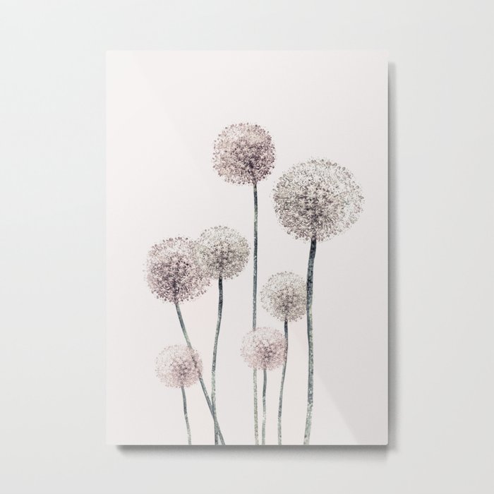 Dandelions Metal Print