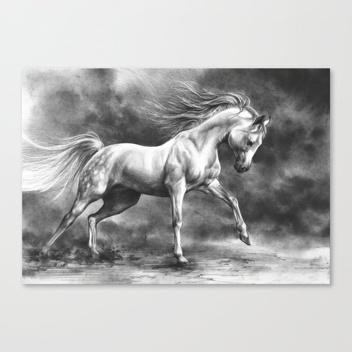 Running White Horse Equine Art Canvas Print By Kkmiecikart